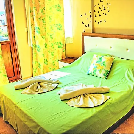 Paddys Ovacik * オルデニズ