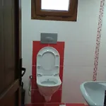 Paddys Ovacik